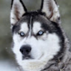 Meet your Posher, Jiah